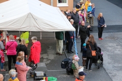 IMG_6677_45